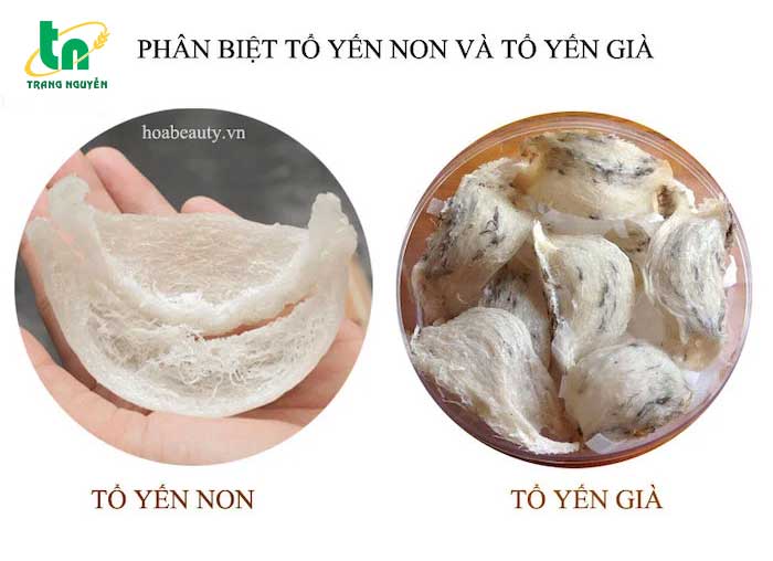 cac-loai-yen-sao
