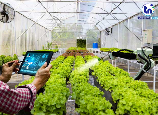 cung-cap-nong-san-sach