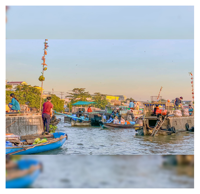 <a href='https://trangnguyencantho.com.vn/uploads/sanpham/Cantho-chonoi_486923.jpg' onclick='return hs.expand(this)' ><img src='https://trangnguyencantho.com.vn/templates/default/js_css/images/icon_zoom.png'/> Phóng to</a>