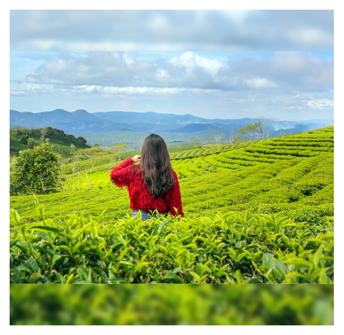 <a href='https://trangnguyencantho.com.vn/uploads/sanpham/Dalat-doichecaudat-ok_905848.jpg' onclick='return hs.expand(this)' ><img src='https://trangnguyencantho.com.vn/templates/default/js_css/images/icon_zoom.png'/> Phóng to</a>